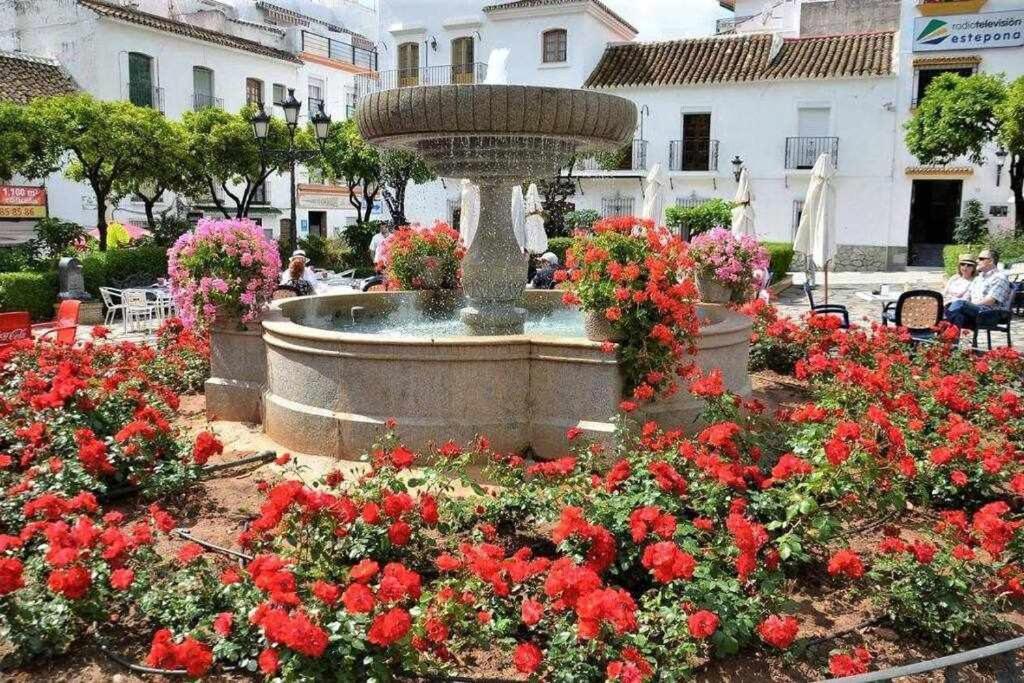 Xxii Apartamentos Morales&Arnal Estepona Dış mekan fotoğraf